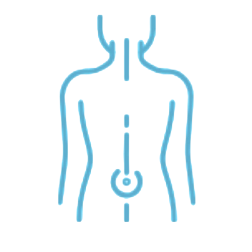 Icon of a person highlighting their lower back